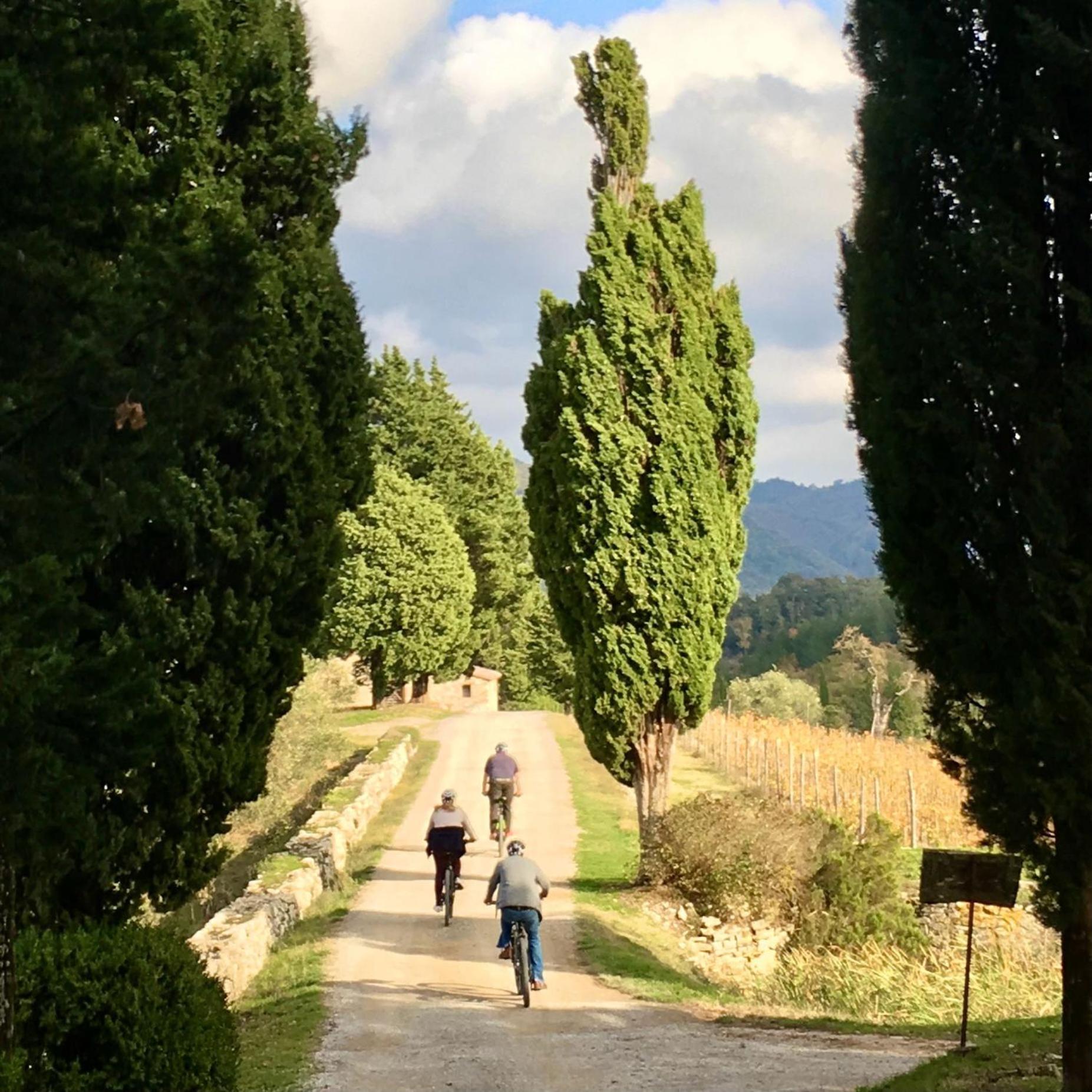 Capannelle Wine Resort Gaiole in Chianti Bagian luar foto