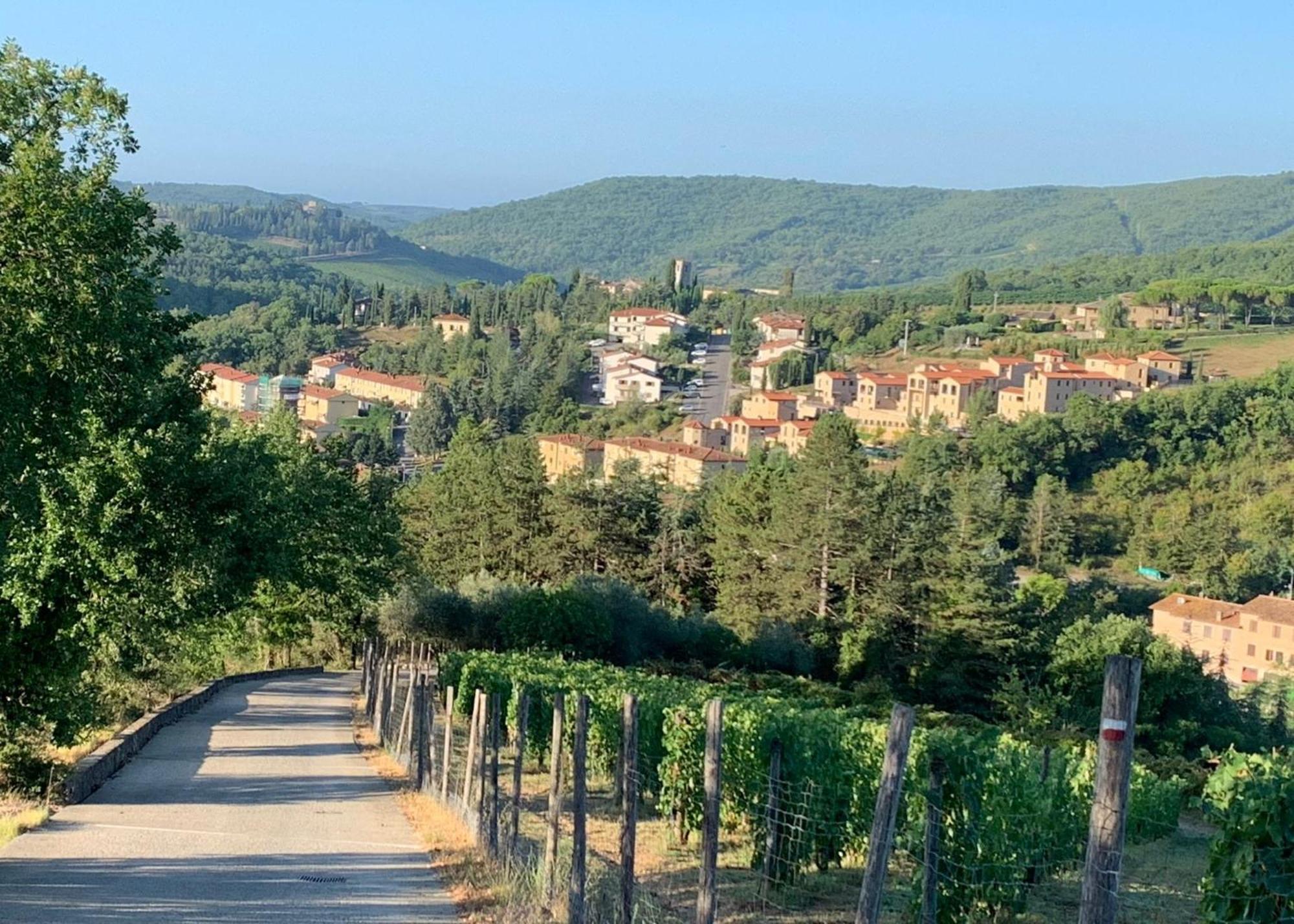 Capannelle Wine Resort Gaiole in Chianti Bagian luar foto