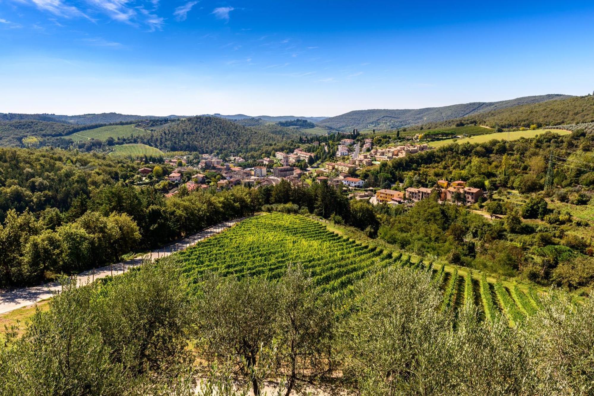 Capannelle Wine Resort Gaiole in Chianti Bagian luar foto