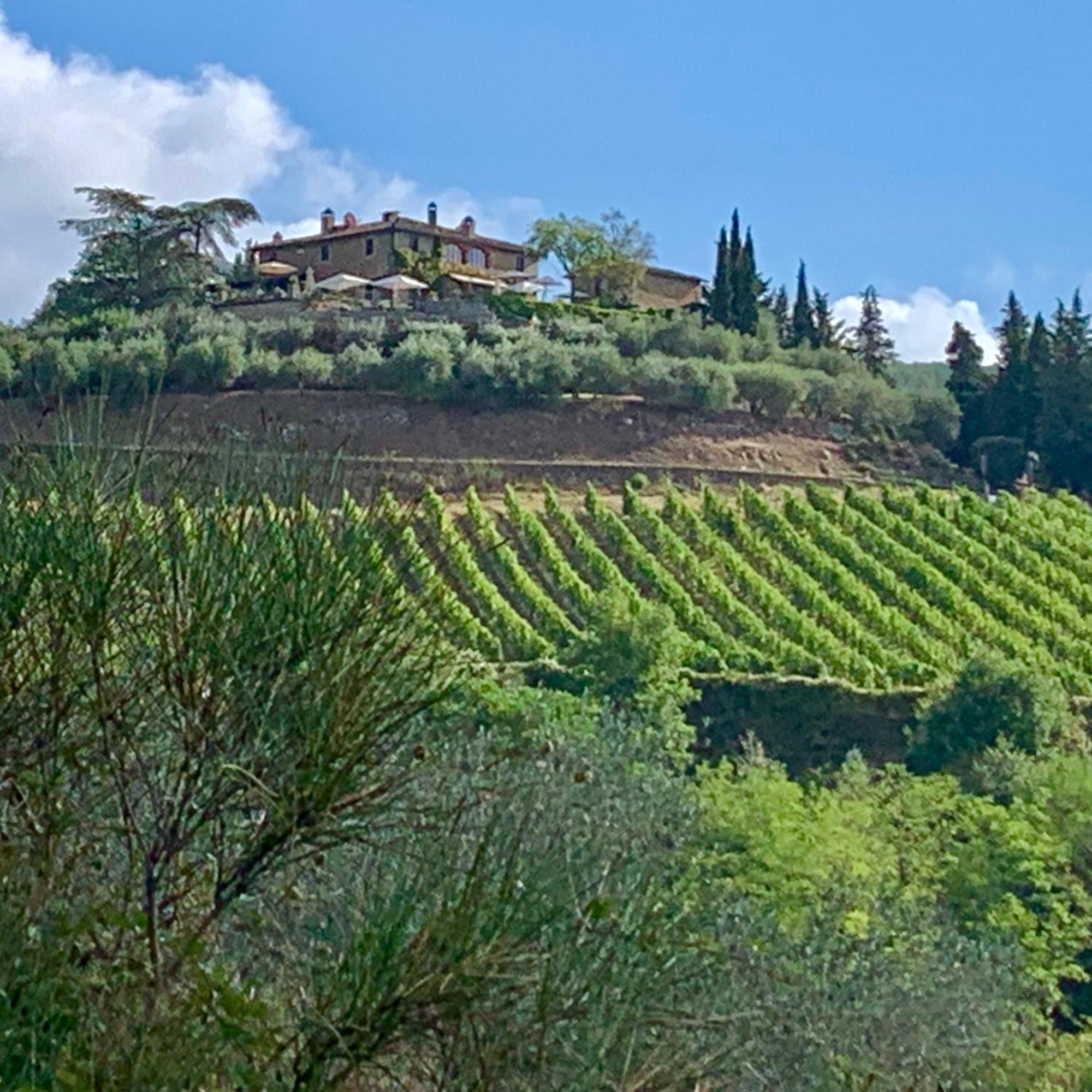 Capannelle Wine Resort Gaiole in Chianti Bagian luar foto